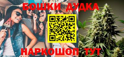 apvp Гусиноозёрск