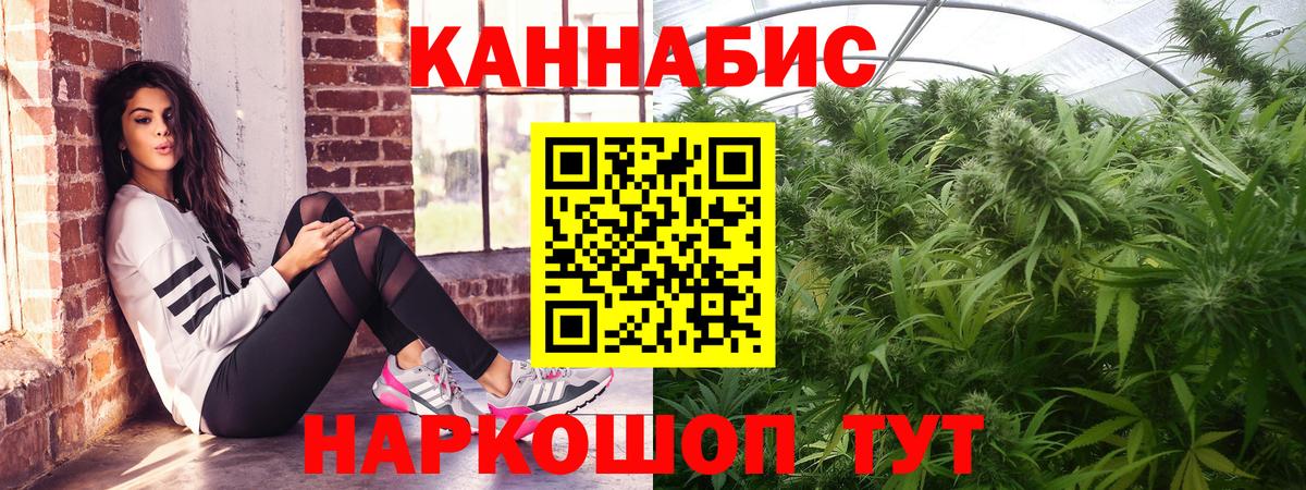 Бошки Шишки индика Гусиноозёрск